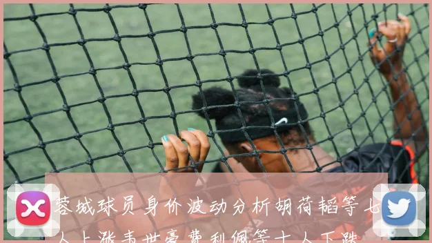 蓉城球员身价波动分析胡荷韬等七人上涨韦世豪费利佩等十人下跌